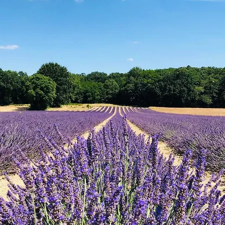 Coin De Paradis